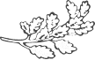 leaf free img